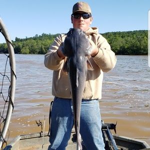 Meet your Posher, Dalton